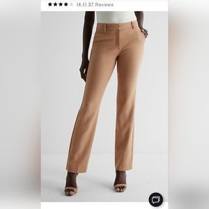NWT Express Pecan Midrise Editor Bootcut Pant